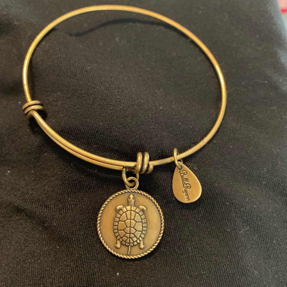Turtle bracelet